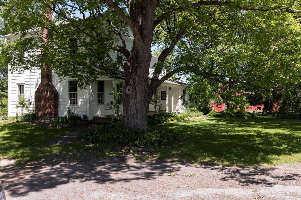 King Hill Cottage Greenville Екстер'єр фото